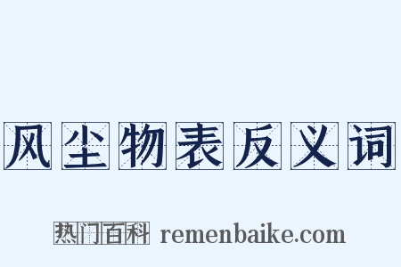 风尘物表反义词是什么意思的图片